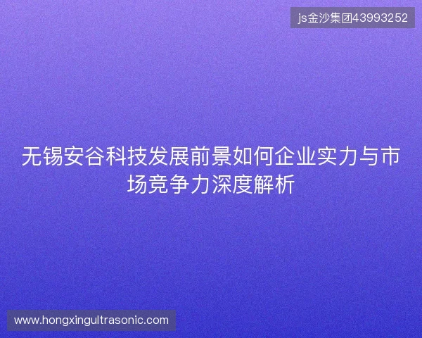 无锡安谷科技发展前景如何企业实力与市场竞争力深度解析