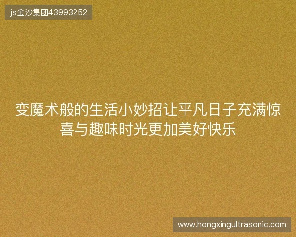 变魔术般的生活小妙招让平凡日子充满惊喜与趣味时光更加美好快乐