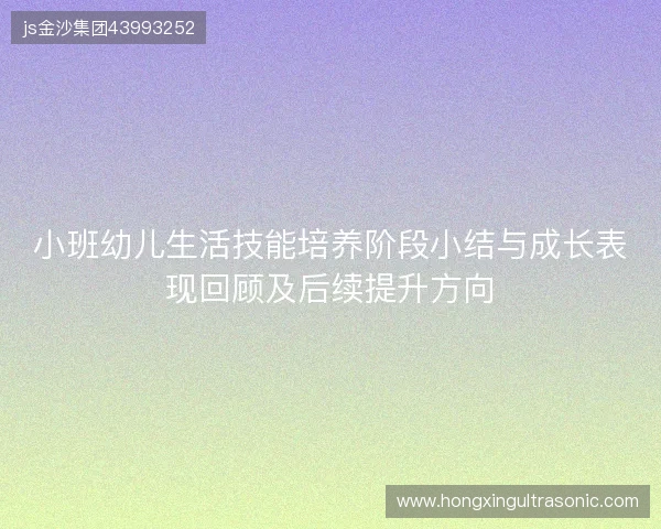 小班幼儿生活技能培养阶段小结与成长表现回顾及后续提升方向