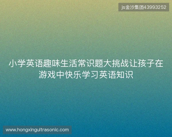 小学英语趣味生活常识题大挑战让孩子在游戏中快乐学习英语知识